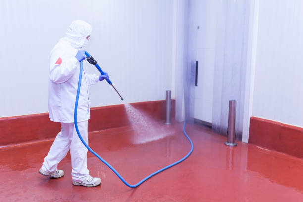 Best Factory Floor Cleaning  in Lucas, TX
